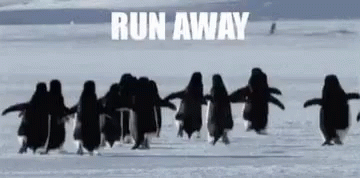 run-away.gif