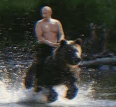 Image result for putin grizzly bear gif