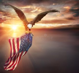 eagle-american-flag-flies-freedom-sunset-vintage-toned-221952628.jpg