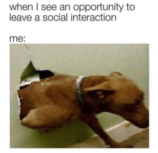 dog-see-an-opportunity-leave-social-interaction.png