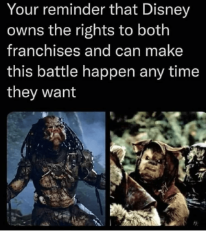 reminder-disney-owns-rights-both-franchises-and-can-make-this-battle-happen-any-time-they-want.png