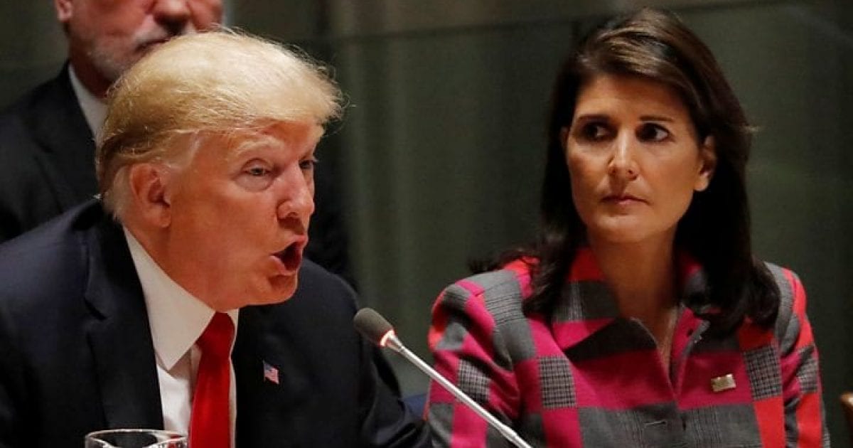 thepalmierireport.com