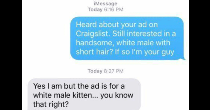 funny-craigslist-troll-cat-rabbit-the-incident-trolling