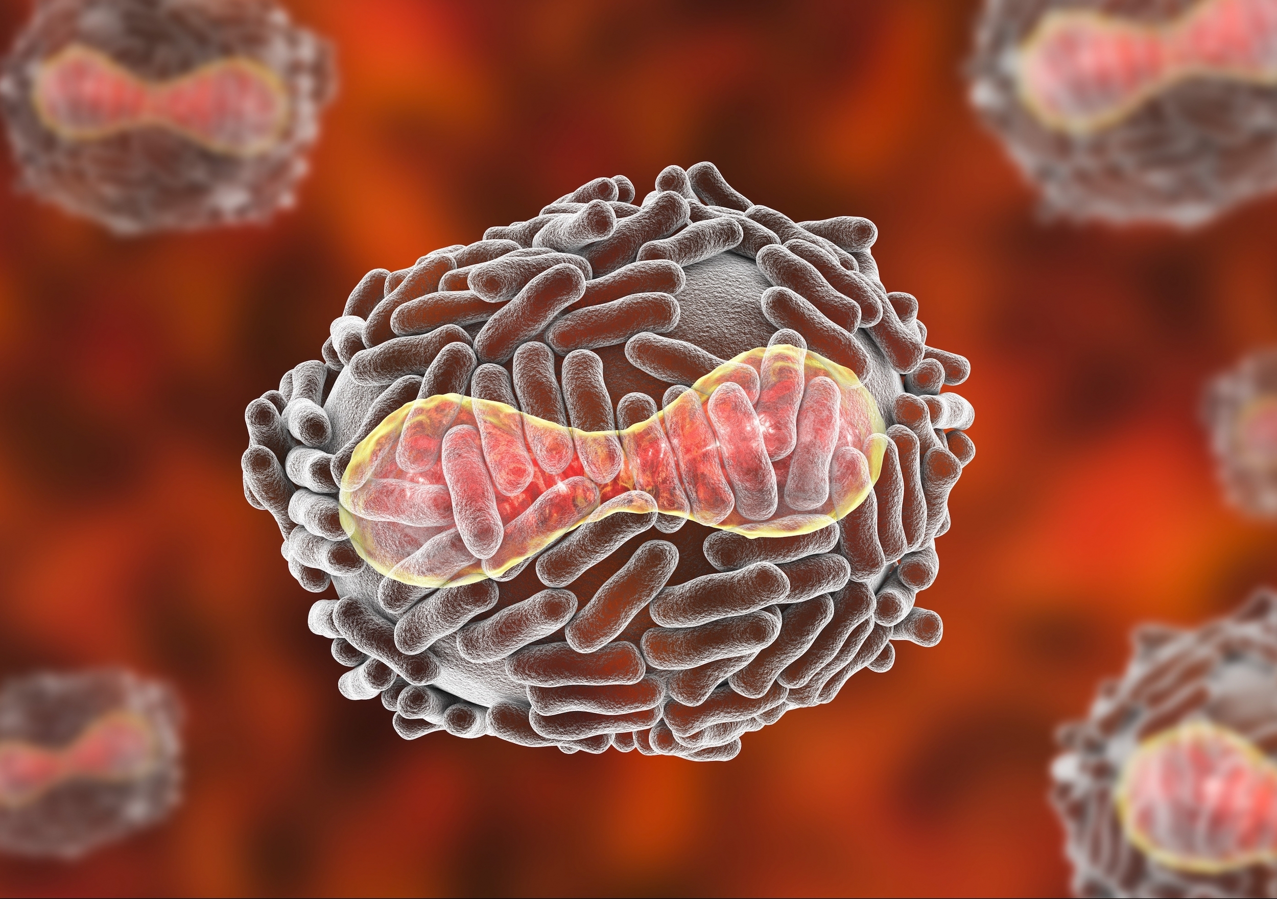 newsroom.unsw.edu.au