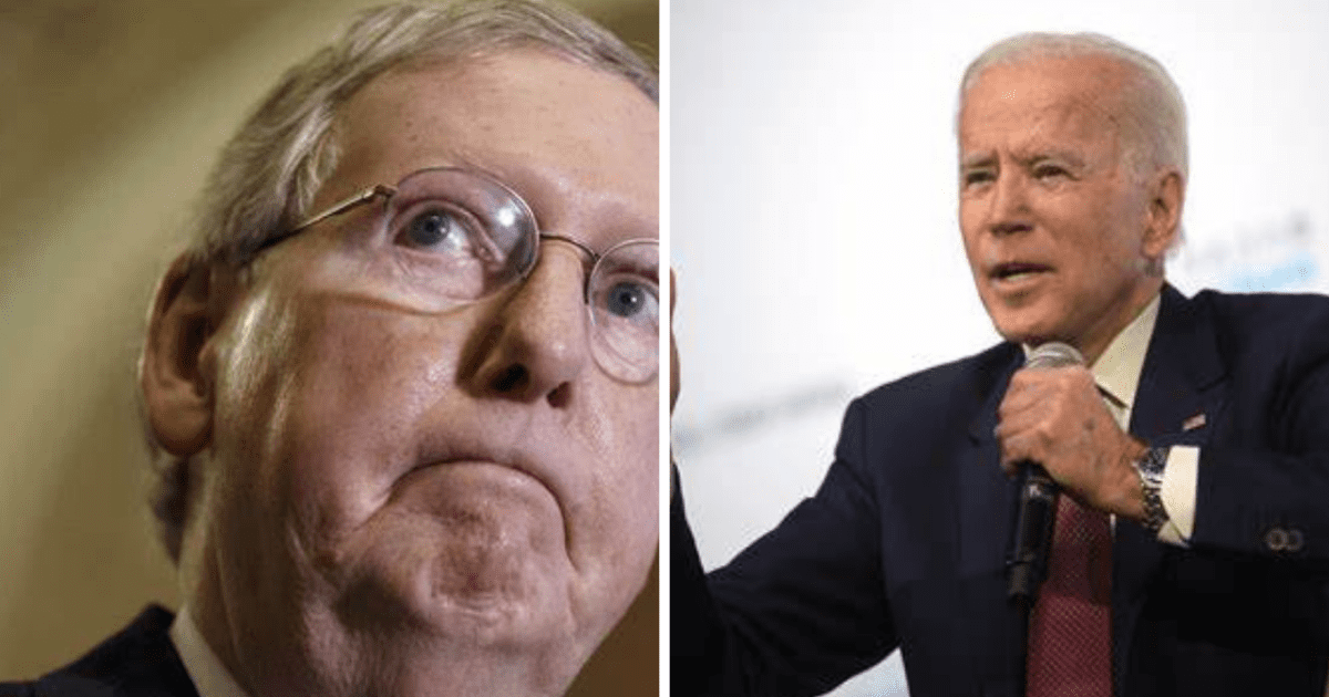 thepalmierireport.com