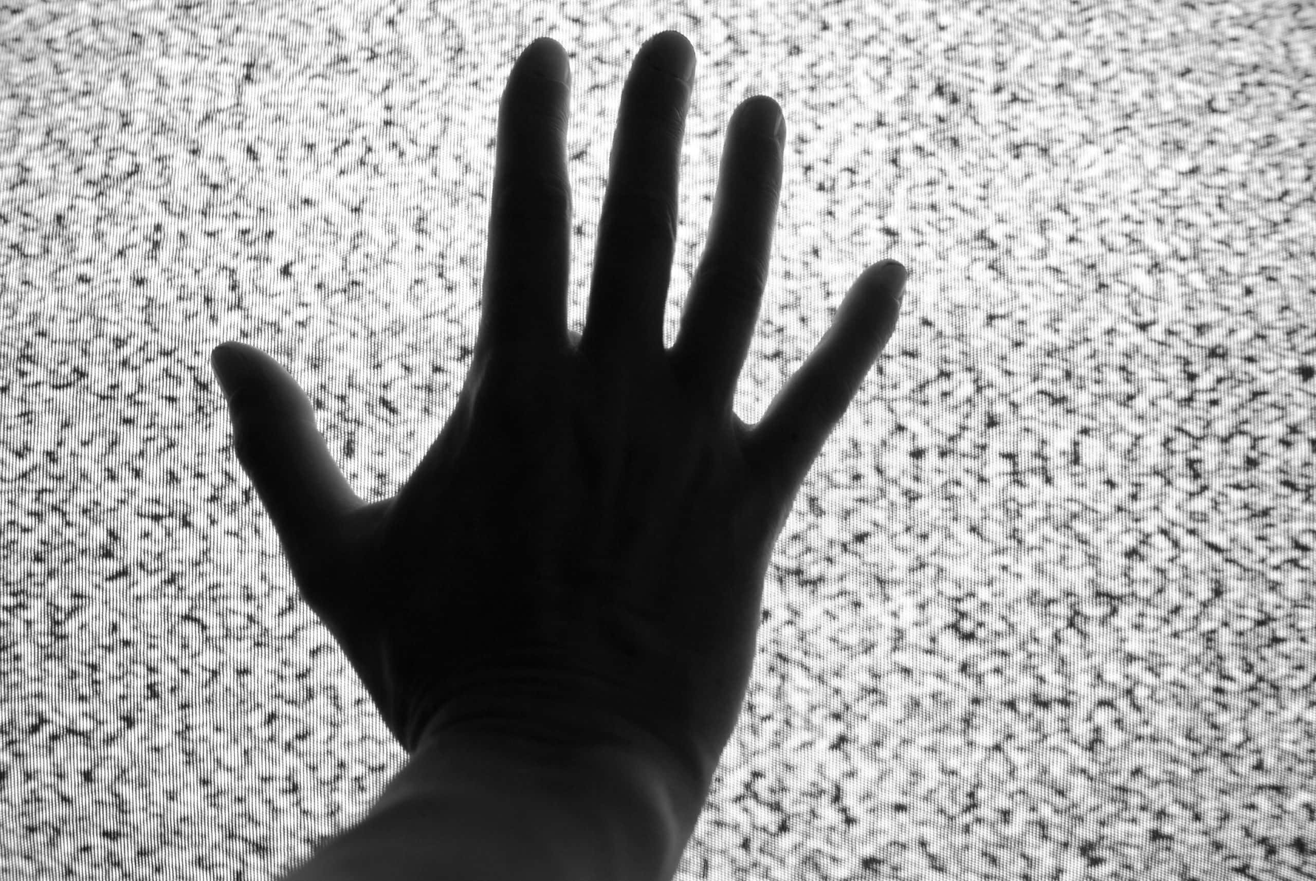 americanmind.org