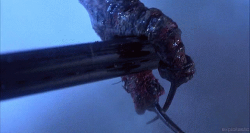 the-fly.gif