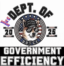 doge-government.gif