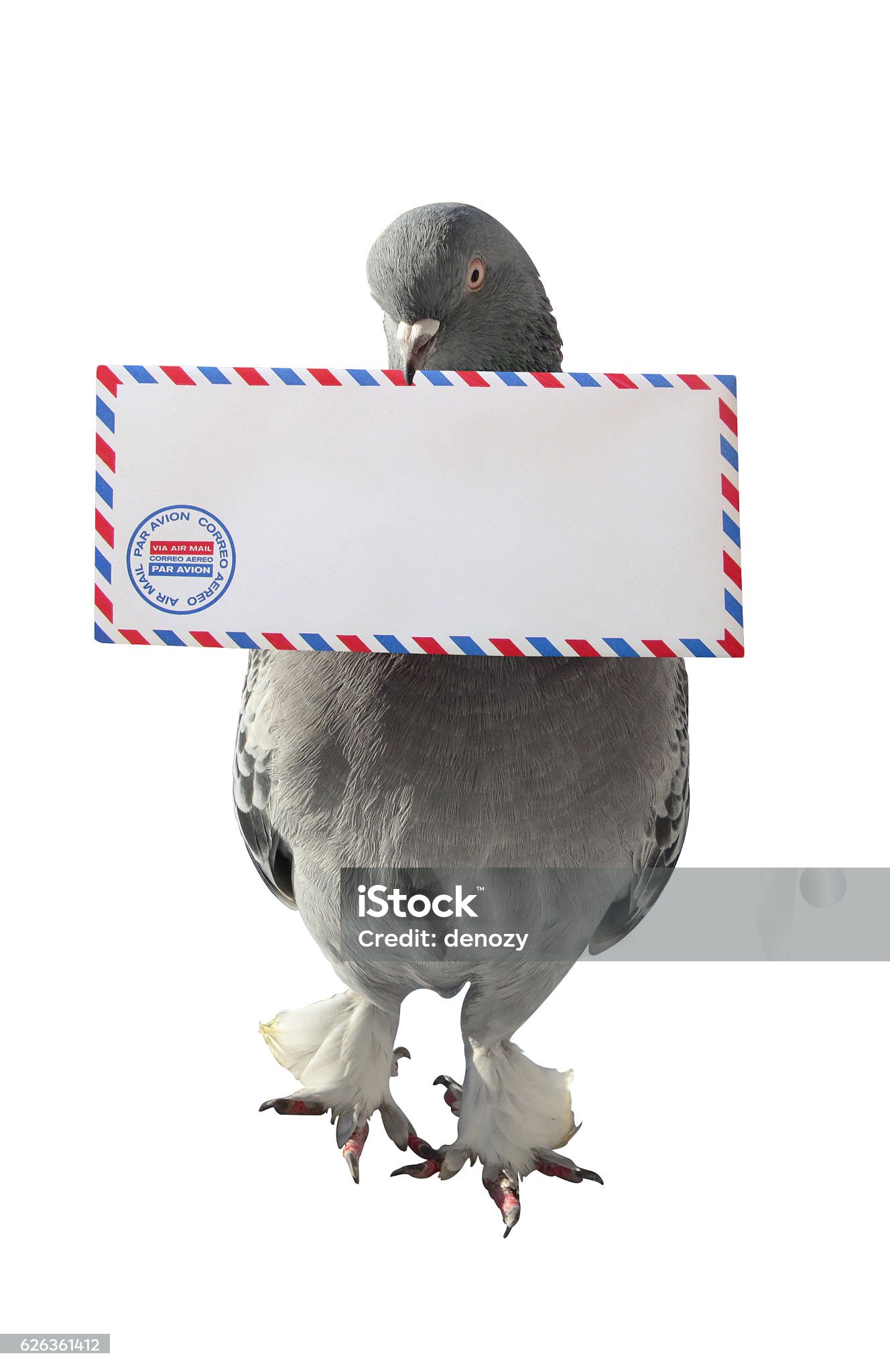 dove-carrying-air-mail-envelope-white-background.jpg