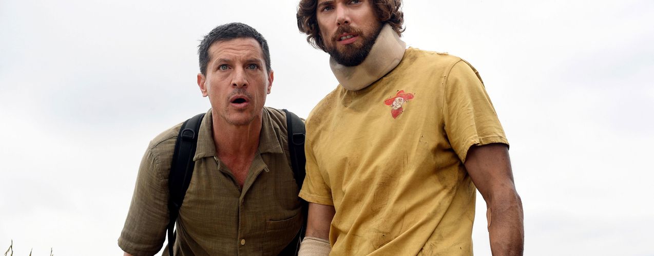 ww8.123moviesfree.net