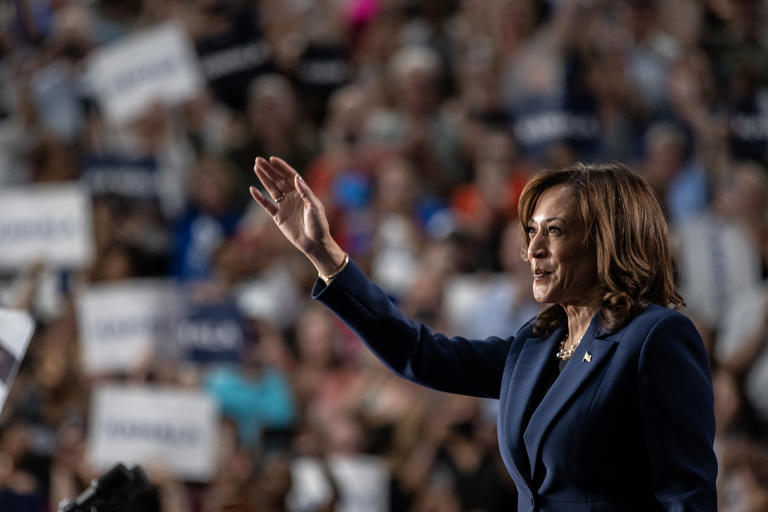 Democratic presidential candidate, U.S. Vice President Kamala Harris speaks to supporters during a campaign rally at West Allis Central High School on July 23, 2024 in West Allis, Wisconsin.