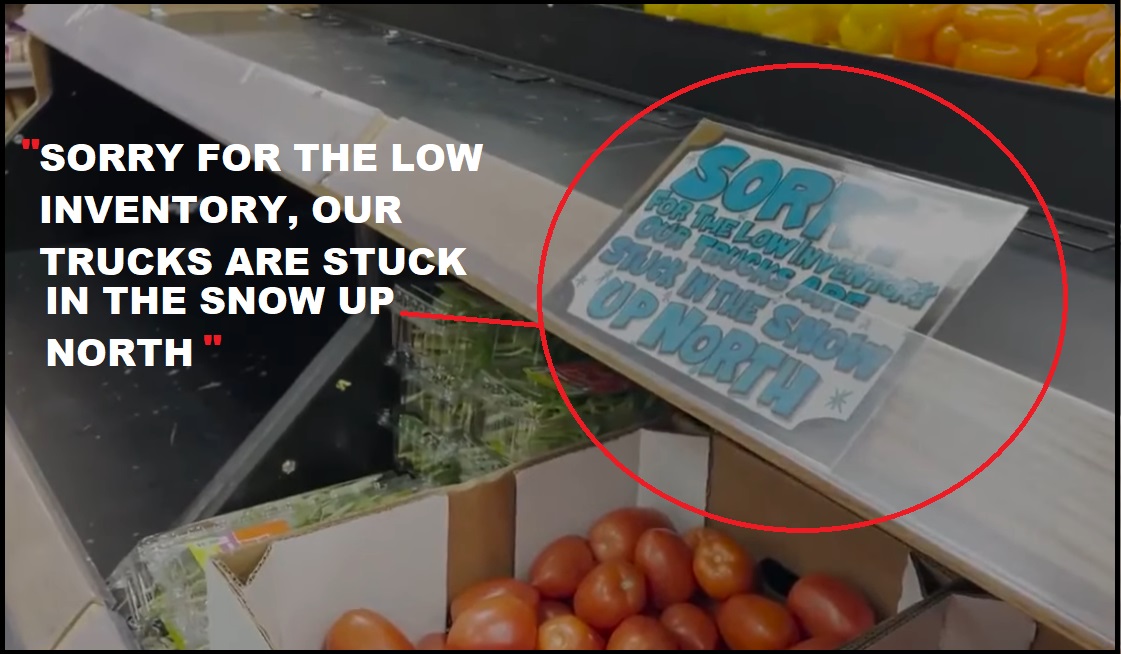 theconservativetreehouse.com