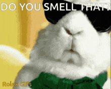 bunny-smell.gif