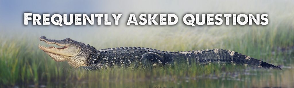 alligatoradventure.com