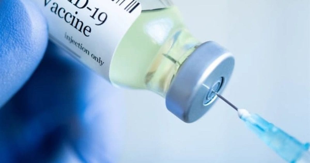 thepalmierireport.com