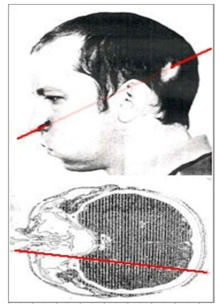 main-qimg-cf152683b25375e382dfb951412bdc04