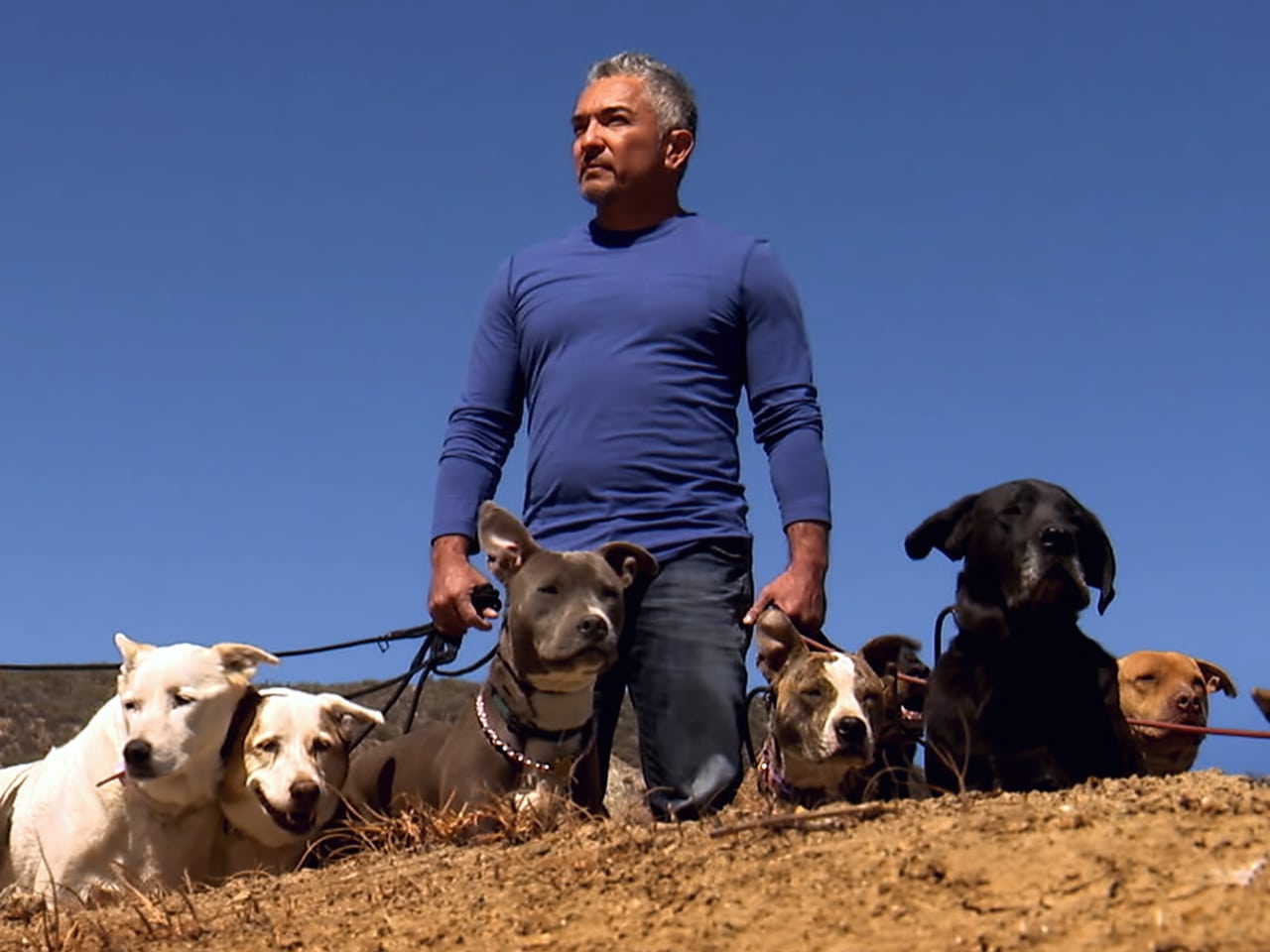 cesar-millan.jpg