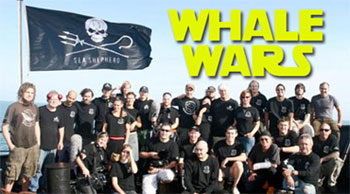 whalewars_1886.jpg