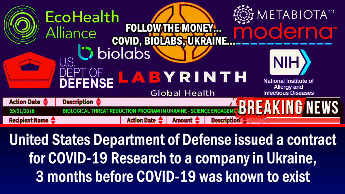 expose-news.com