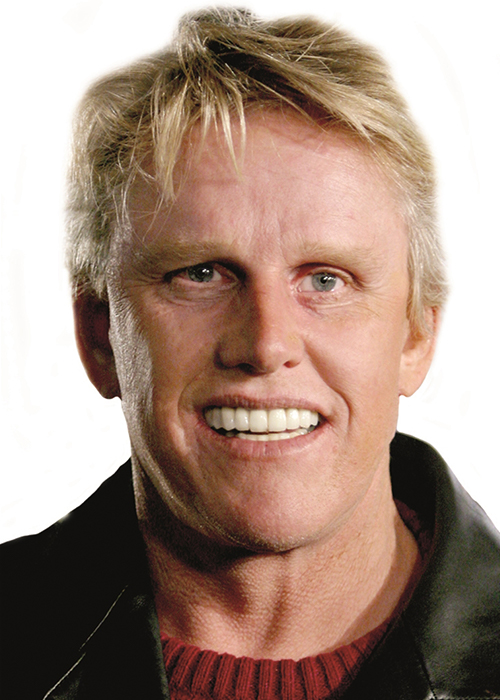 profile-vertical-busey.jpg