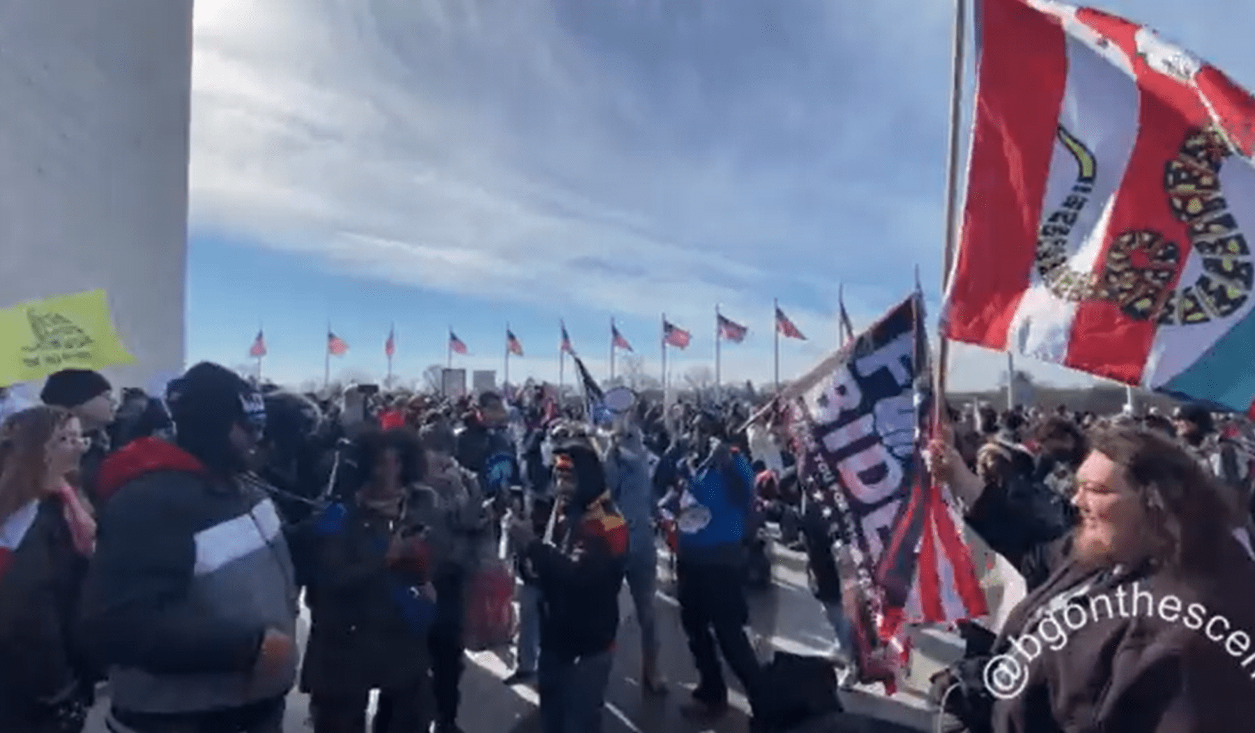 thepalmierireport.com