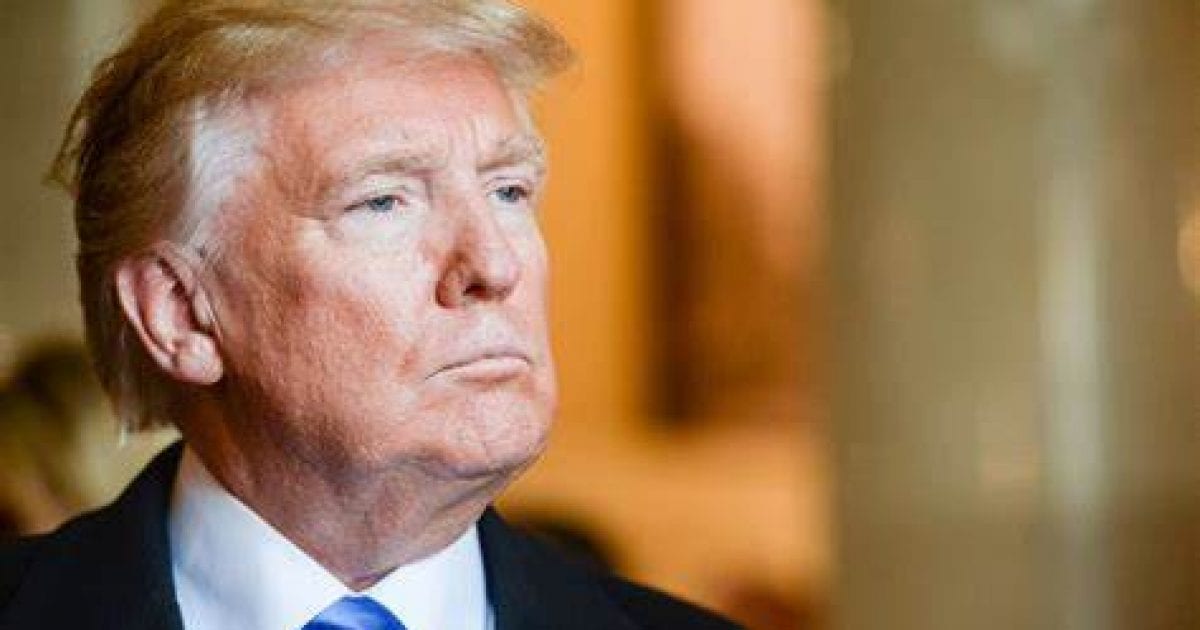 thepalmierireport.com