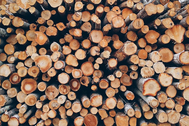 wood-1868104_640.jpg