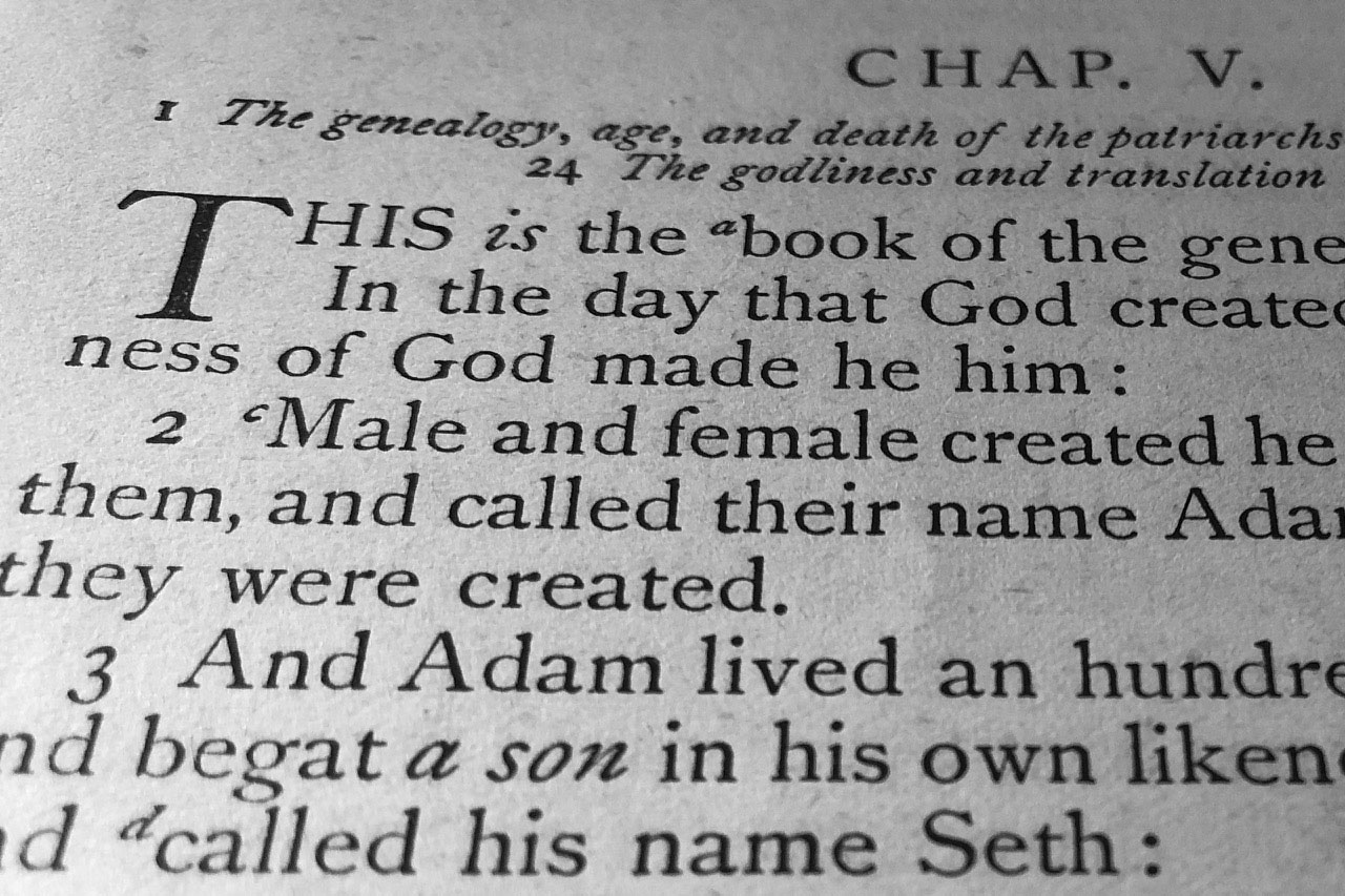 biblicalfidelity.com