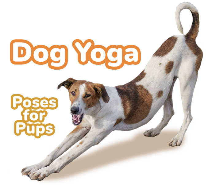 www.homewardtrails.org