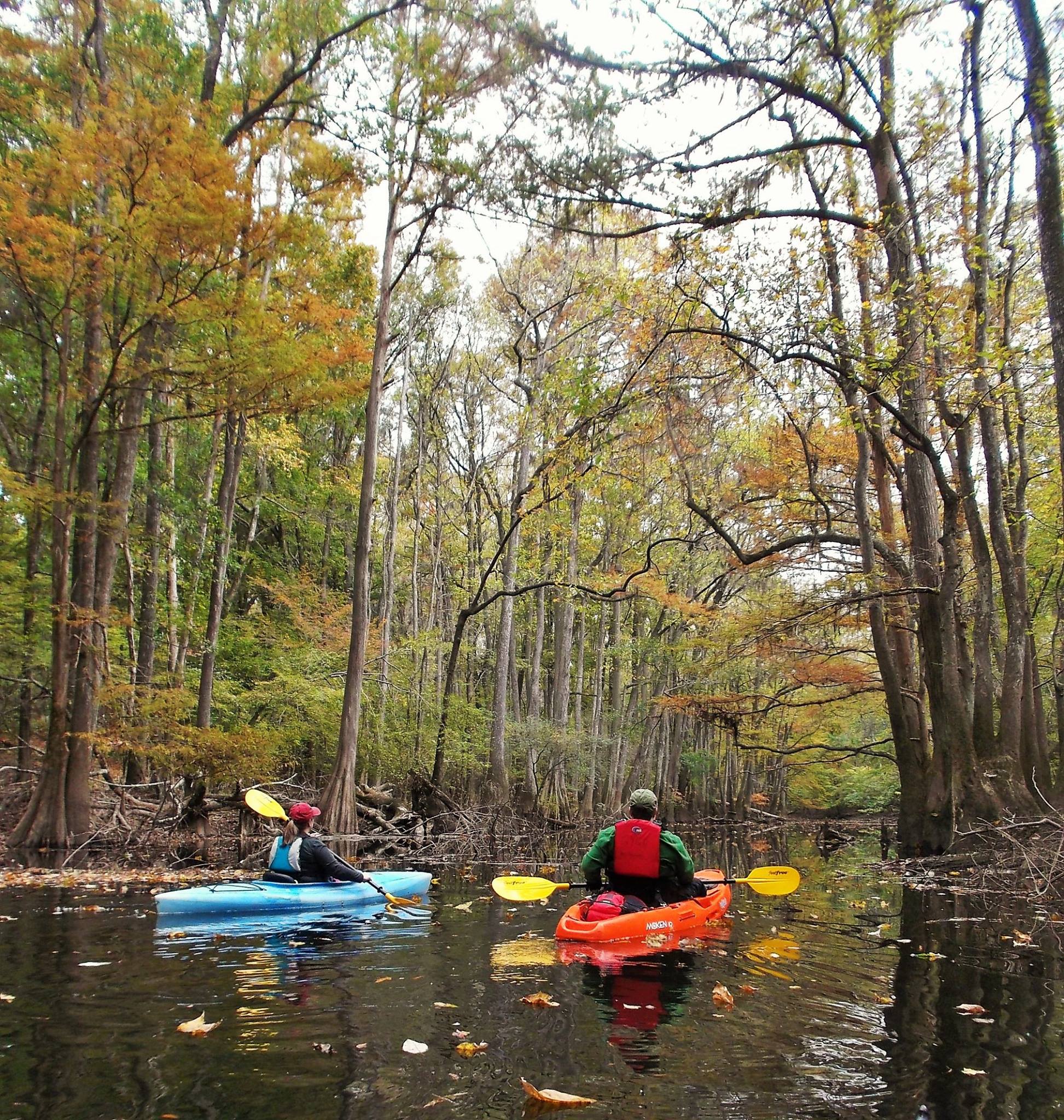 Kayakers_on_Cedar_Creek.jpg