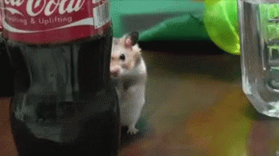 creepy-hamster.gif