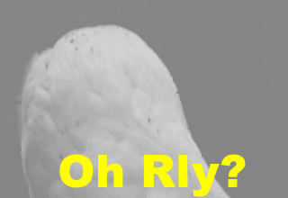 1c0.gif