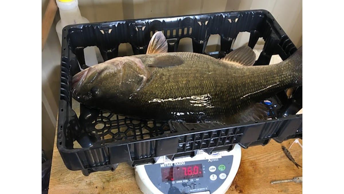 www.wired2fish.com