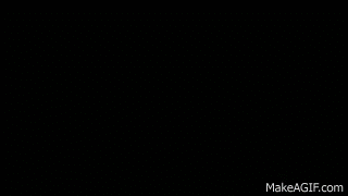 z12ndq.gif