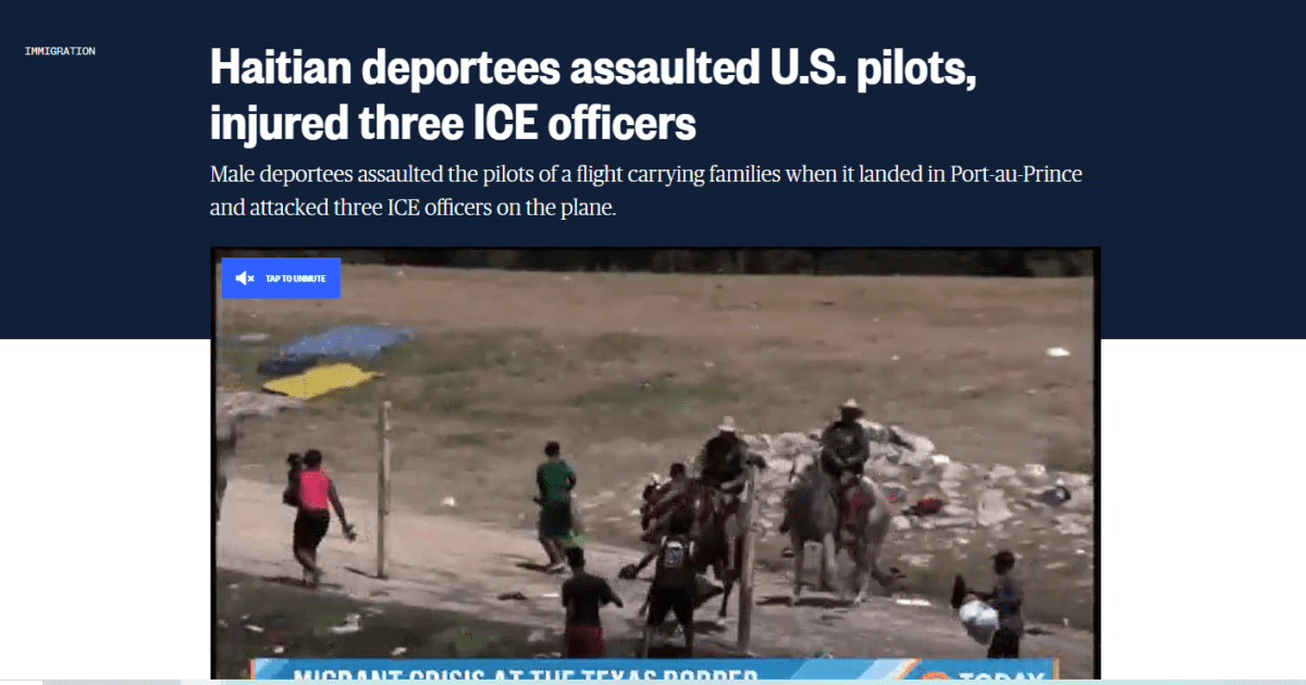 thepalmierireport.com