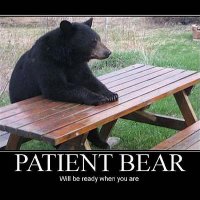 Patient_Bear_200x200.JPG