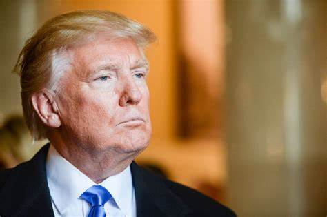 thepalmierireport.com