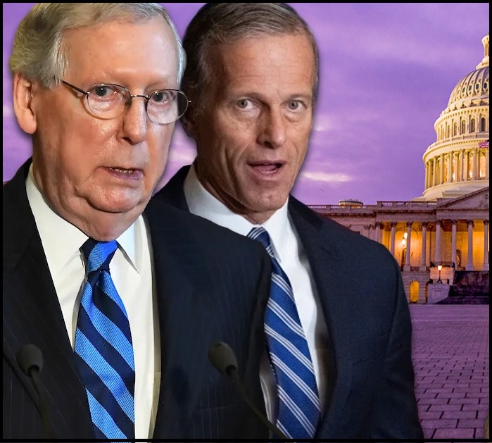 theconservativetreehouse.com