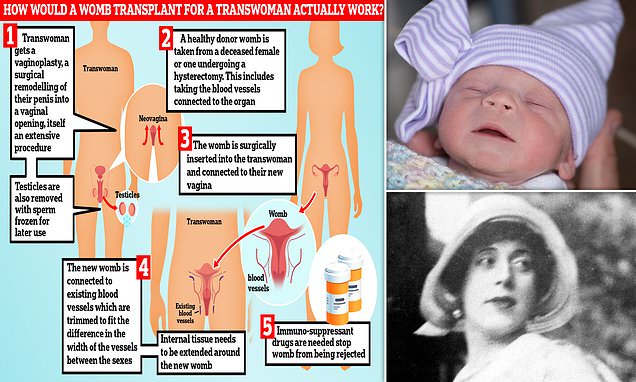 www.dailymail.co.uk