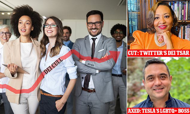 www.dailymail.co.uk