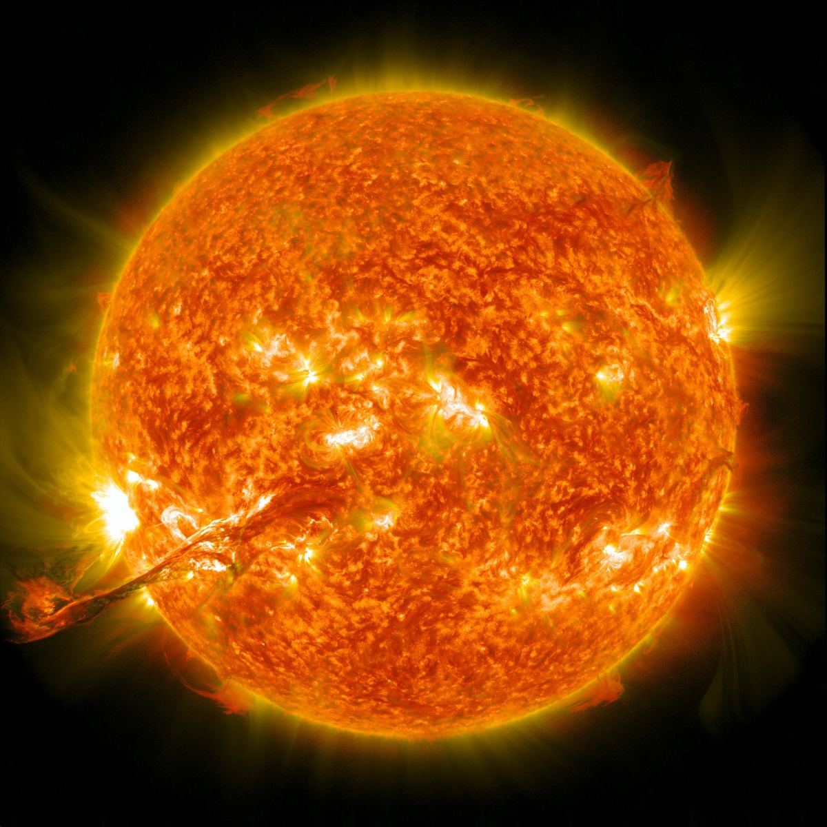 www.sciencetimes.com