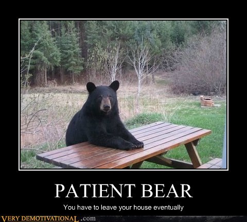 patient-bear
