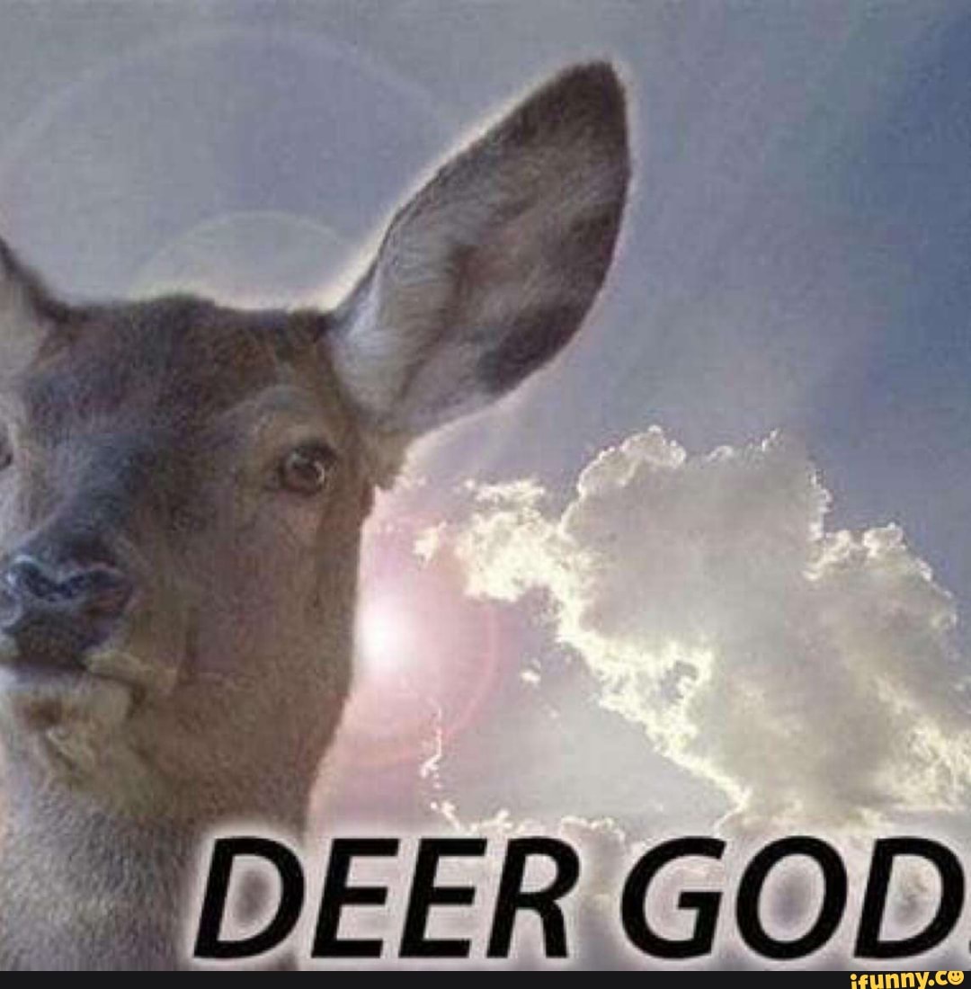 Deergod memes. Best Collection of funny Deergod pictures on iFunny