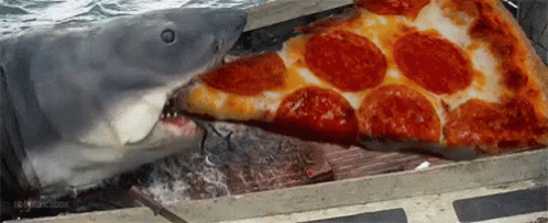 shark-pizza.gif