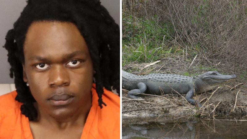 Florida father charged with murder after toddler found in alligator's mouth