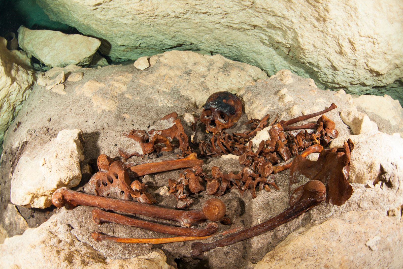 www.smithsonianmag.com