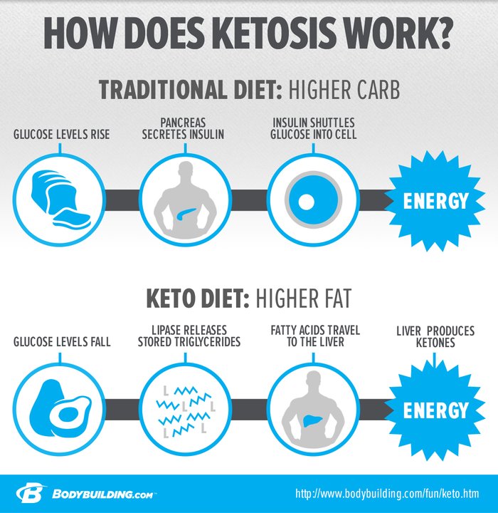 in-depth-look-at-ketogenic-diets-and-ketosis-v2-2-700xh.jpg