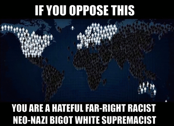 diversity-white-genocide.gif